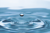 17/11 Visioconfrence PDSI Rutilisation des eaux uses : de nouvelles ressources en eau