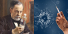 Visioconfrence Hritage de Louis Pasteur et vaccins de nouvelle gnration