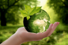 Visio Confrence PDSI : Les contributions de la biodiversit  la vie humaine:  Des solutions fondes sur la nature  lconomie verte